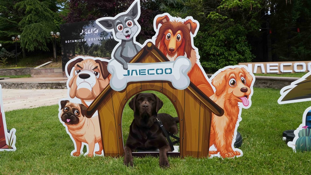 JAECOO J-CLUB Etkinliğini Evcil Hayvan Temasıyla Ankara’da Gerçekleştirdi!